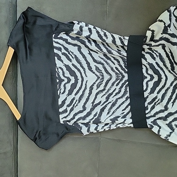Express Zebra stripe dress - Picture 5 of 5